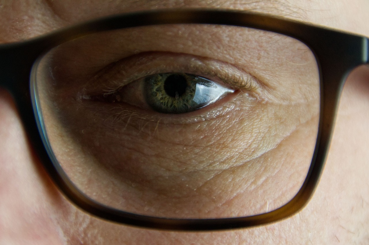 Deciphering the Role of Human Behavior in Safety Measures